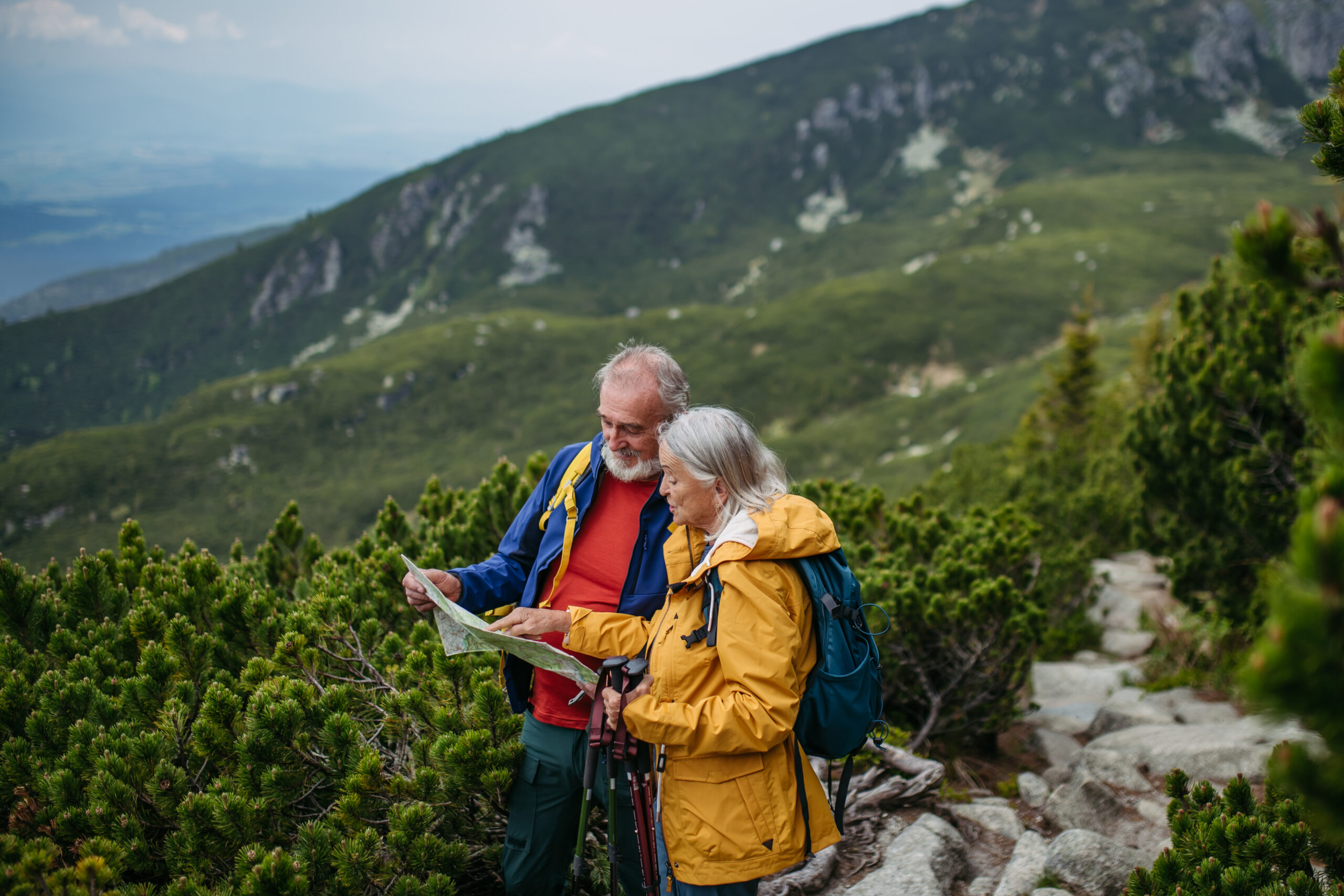 Help Educators Successfully Navigate Their Retirement Journey